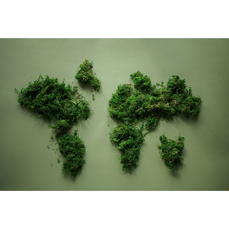 Environment Friendly Wall Mural Wallpaper Map Sitting Room Wall Mural