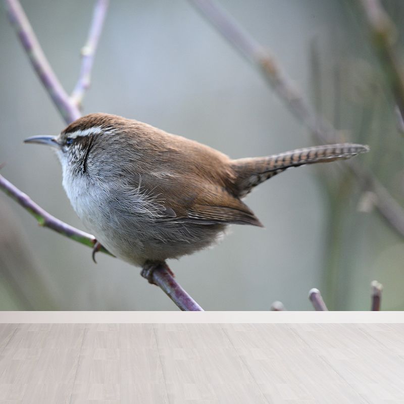 Customized Wren Wall Paper Murals Mildew Resistant Living Room Wall Decor