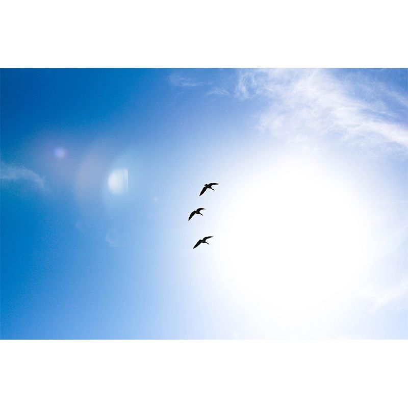 Sky View Mural Wallpaper Modern Style Mildew Resistant for Living Room