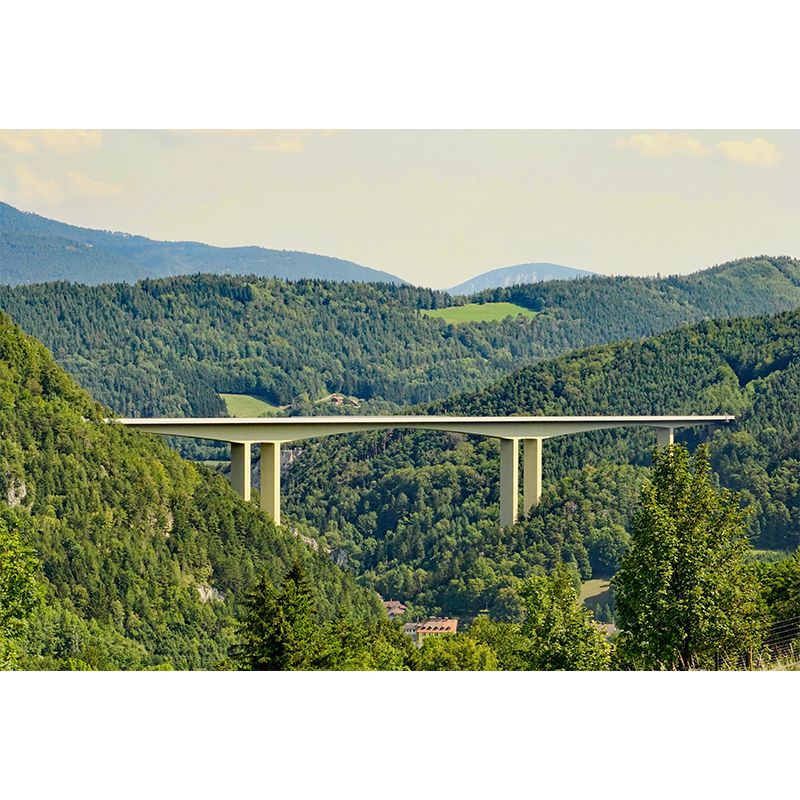 Forest Wall Mural Contemporary Photography Wall Covering for Decoration