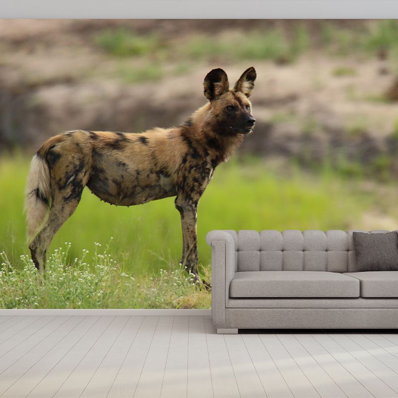 Contemporary Style Hyena Mural Eco-friendly Wallpaper Wall Covering for Sitting Room