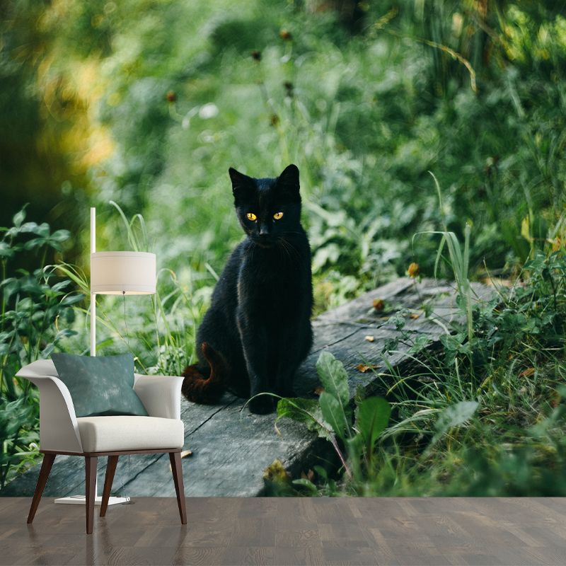 Photography Animal Cat Mural Wallpaper Environment Friendly for Living Room