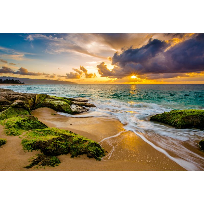 Sunset Moss Sea Rock Mural Tropical Non-Woven Cloth Wall Covering in Yellow-Green