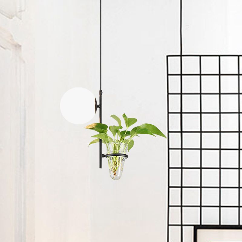 Metal Black/Gold Drop Lamp Orb 1 Head Industrial LED Plant Down Lighting Pendant with Milk White/Smoke Grey Glass Shade