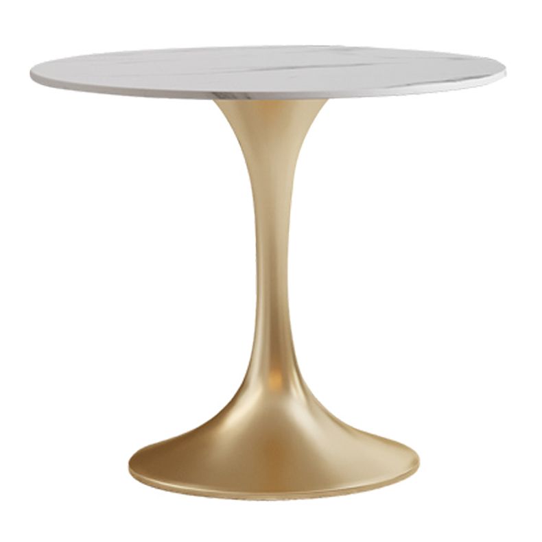 Round Tulip Base Glam Dining Table White Fixed Table of Sintered Stone