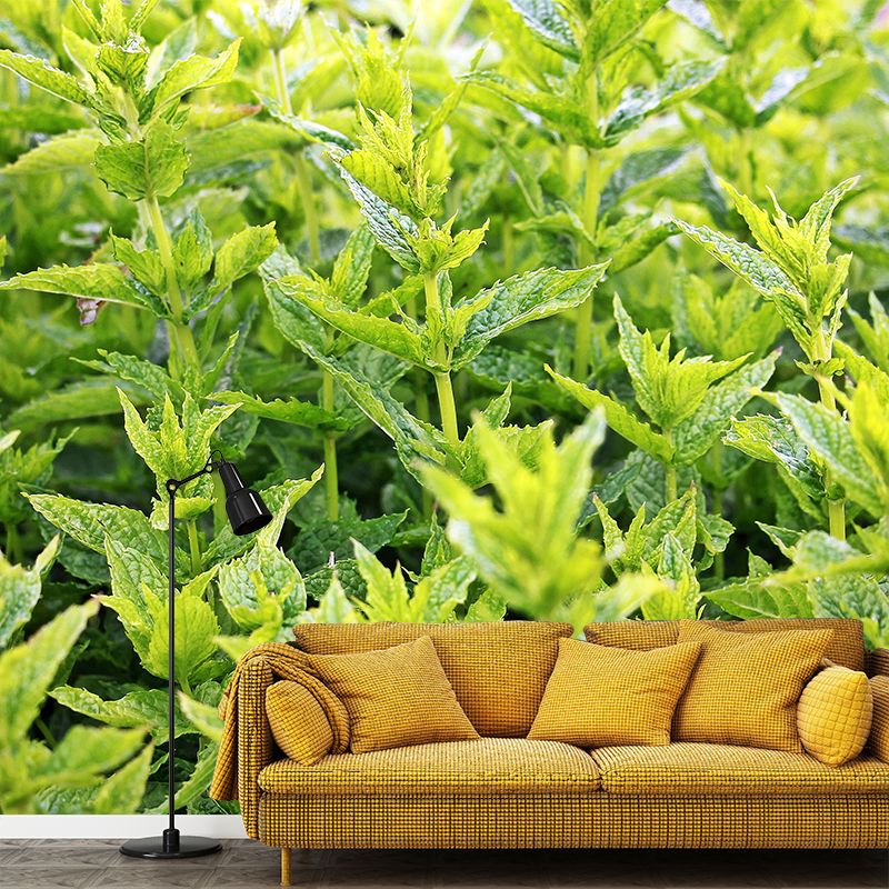 Customized Modern Plants Mural Wallpaper with Cool Mint Leaves Pattern Mildew Resistant