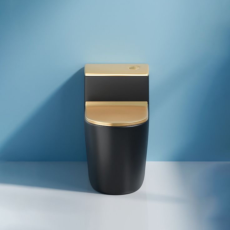 Traditional One Piece Toilet Floor Mounted Black Toilet Bowl with Seat for Washroom