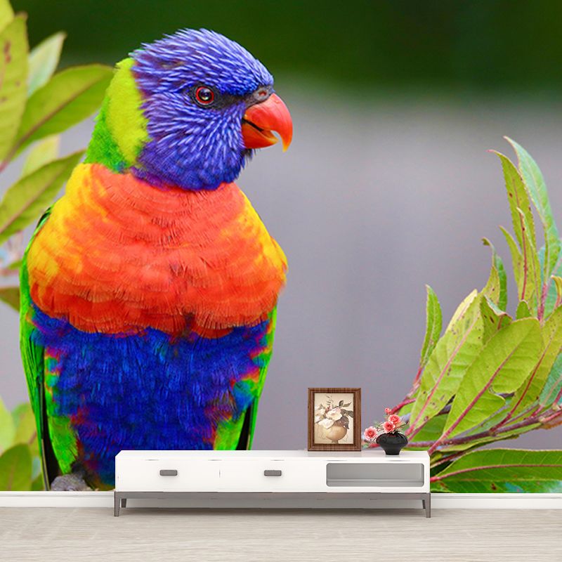 Wild Animal Mildew Resistant Mural Contemporary Sitting Room Wall Mural