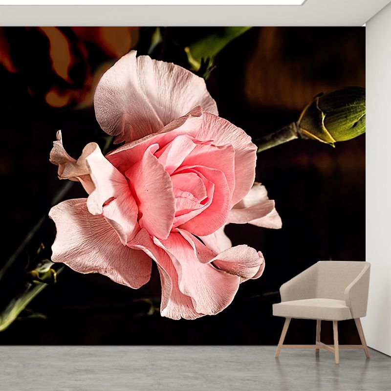 Light Color Carnation Blooming Photography Decorative Wall Murals for Bedrooms