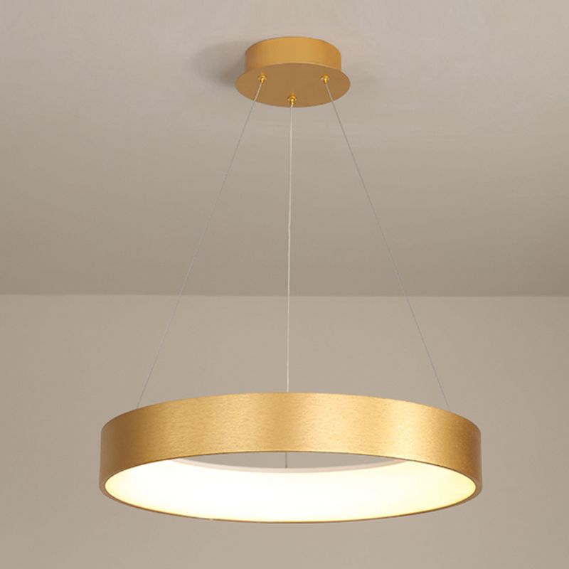 Modern Simple Style LED Pendant Light Living Room Hanging Light Fixture