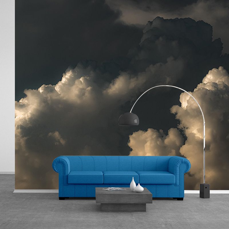 Living Room Contemporary Mildew Resistant Sky Mural Photography Wall Mural