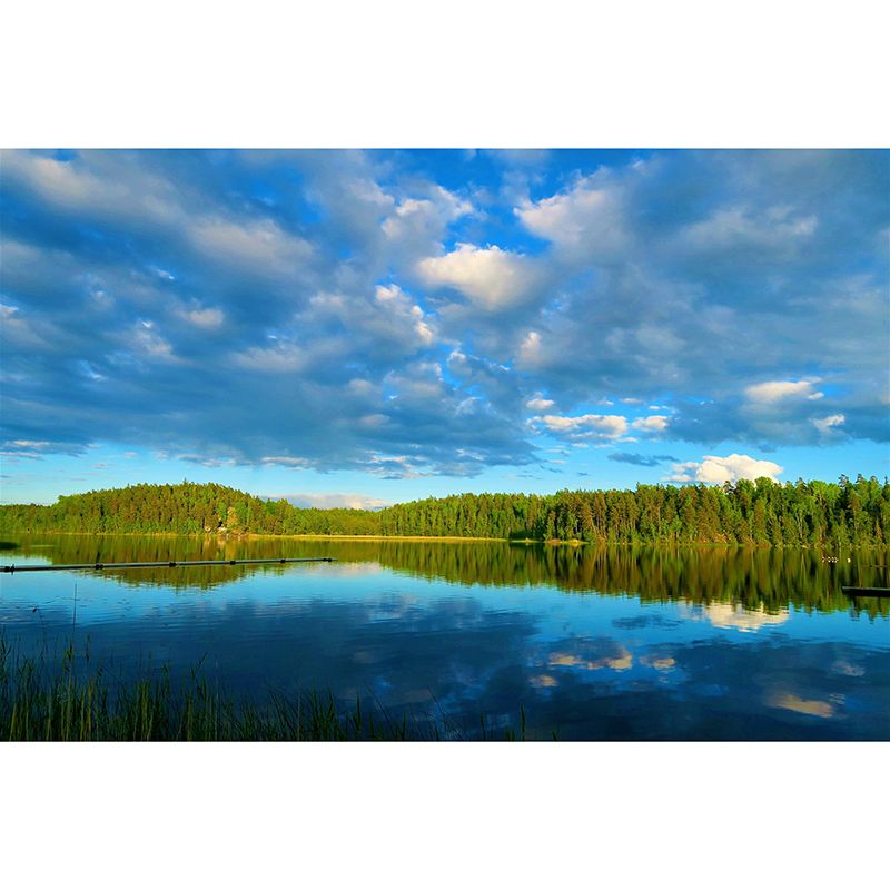 Customized Modern Sky Mural Moisture Resistant Wall Art for Sleeping Room