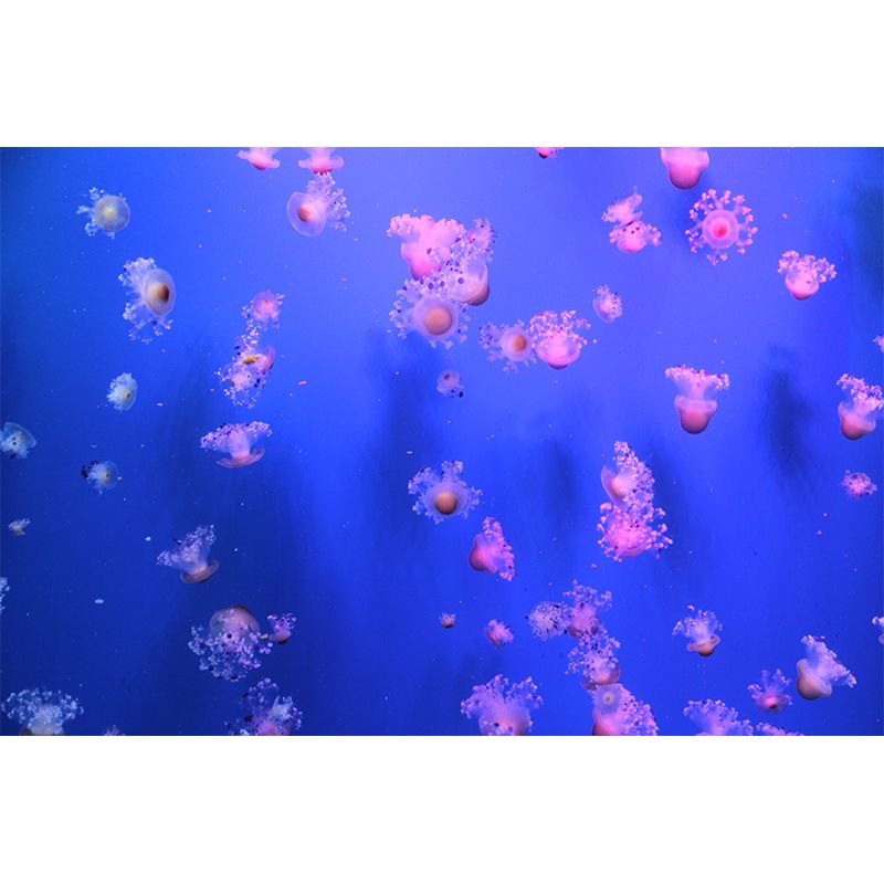 Blue Seabed Mural Wallpaper Wall Covering Mildew Resistant for Sleeping Room