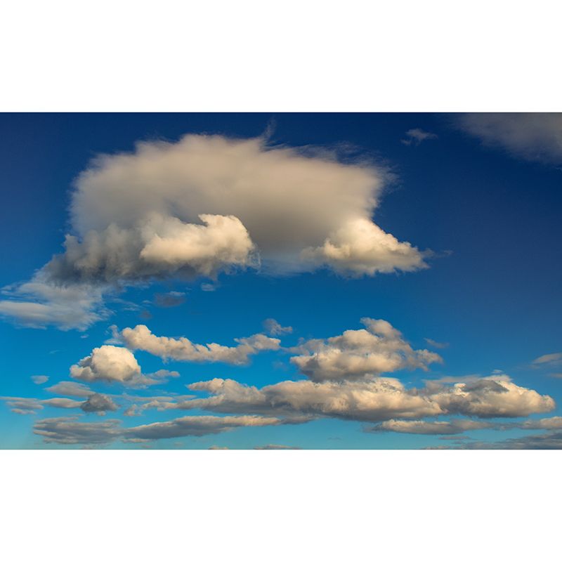 Beautiful Cloud Wall Covering for Sleeping Room Moisture Resistant, Made to Measure