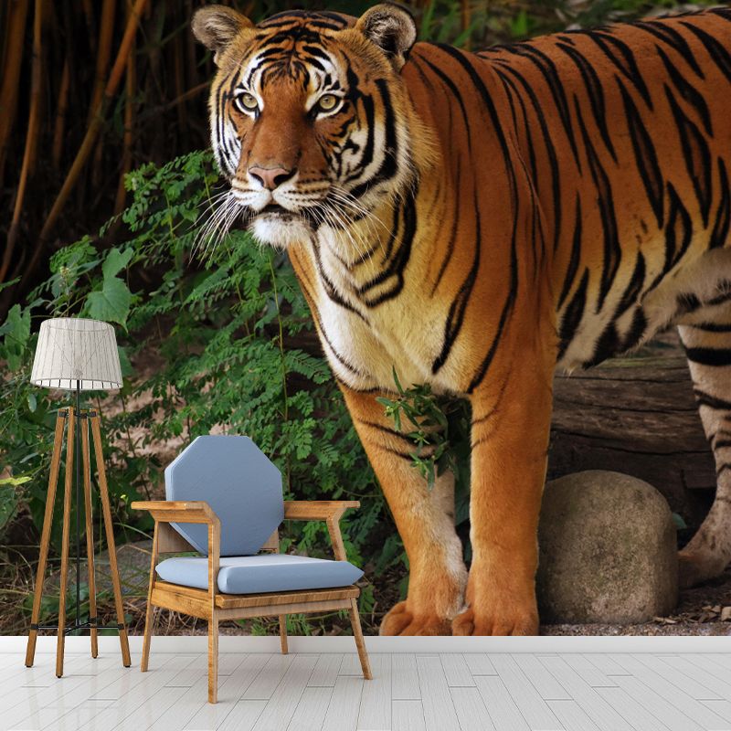 Modern Tiger Mural Wallpaper Moisture Resistant Living Room Wall Covering