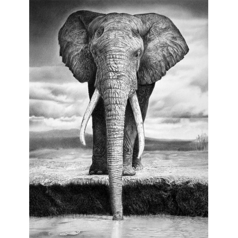 Black-White Elephant Wallpaper Murals Waterproof Contemporary Bedroom Wall Decor