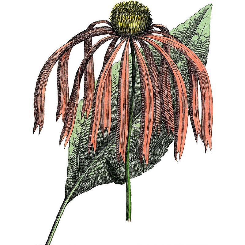 Orange Floral Print Mural Wallpaper Moisture Resistant Wall Covering for Living Room