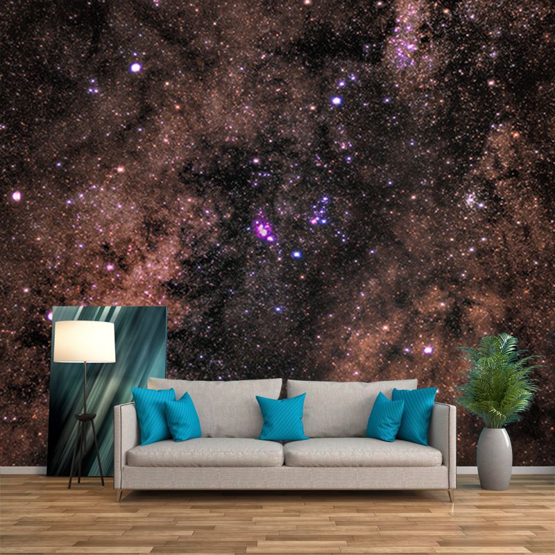 Environmental Photography Mural Wallpaper Cosmos Indoor Wall Mural