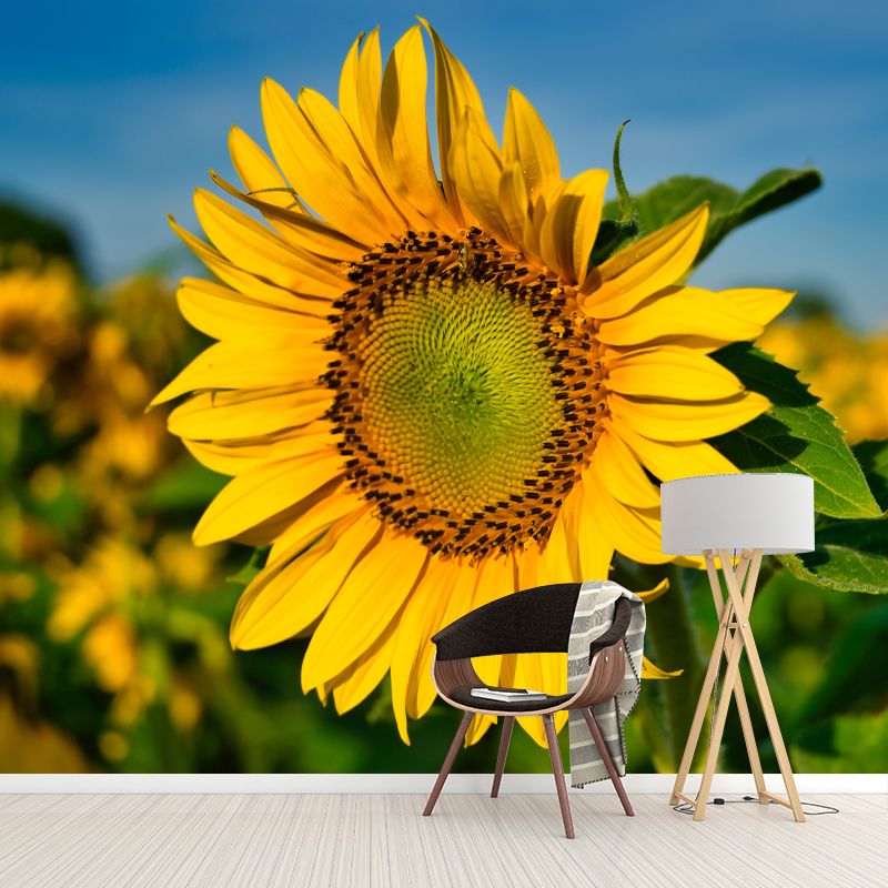 Yellow Sunflower Simple Mural for Bedroom Water Resistant, Made to Measure