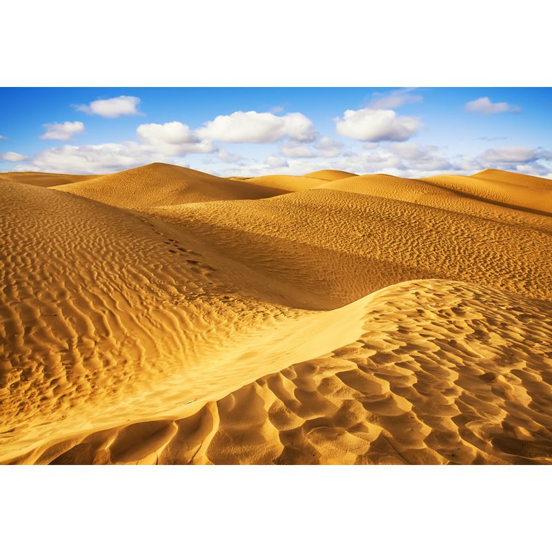 Grand Desert Dunes Scene Mural for Home Natural Landscape Wall Decor, Custom Size