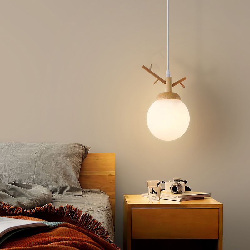 Globe Glass Hanging Lamp in moderne eenvoud houten hanglamp voor eetkamer
