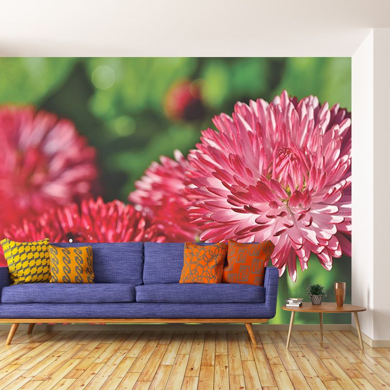Dahlia Flower Wallpaper Mural Waterproofing
Living Room Wall Decoration