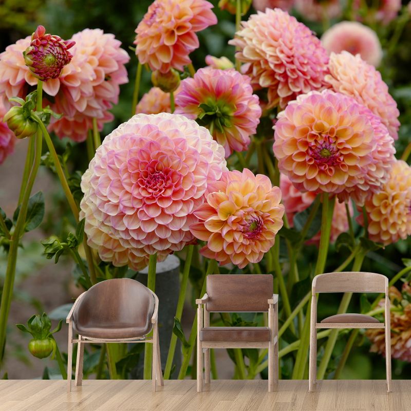 Bright Dahlia Mural Wallpaper Minimalist Wall Art, Customized Size Available
