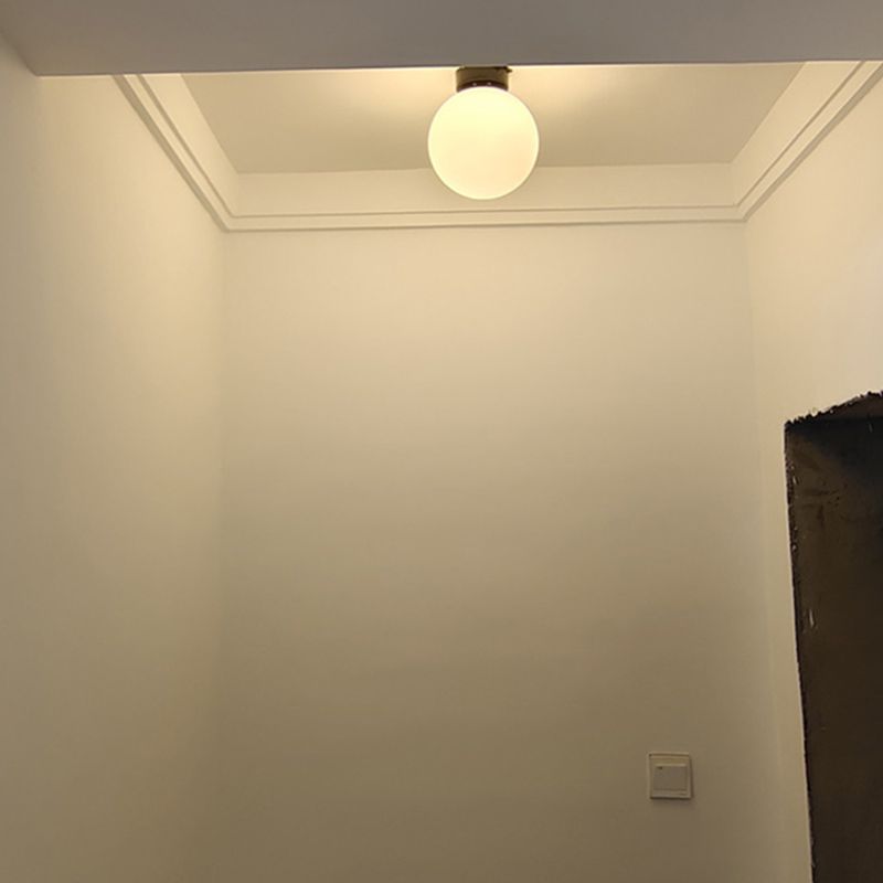Modern Simple Spherical Shape Ceiling Lamp Iron 1 Light Ceiling Light for Corridor