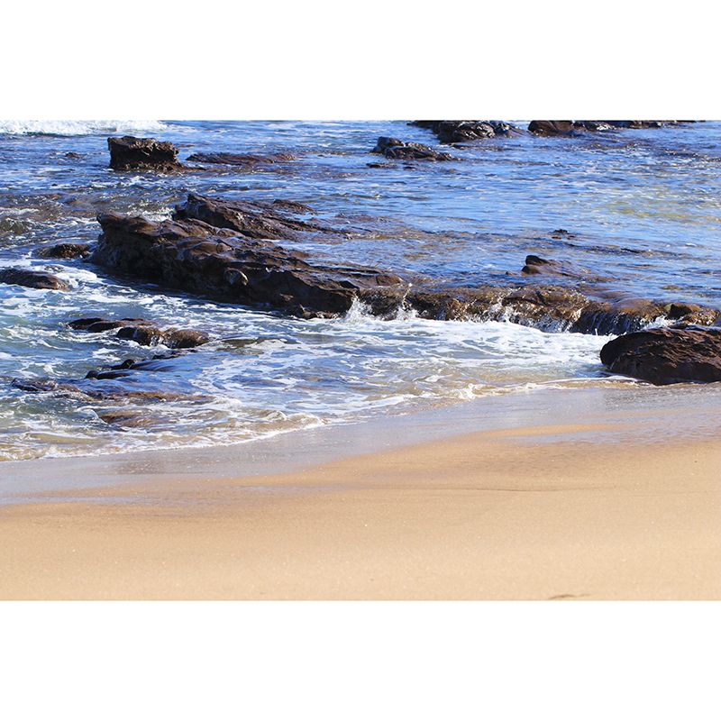 Sandy Beach View Mural Decoration for Interior Room, Moisture Resistant