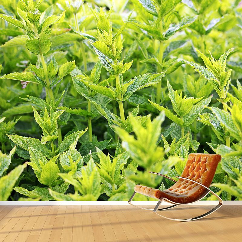 Customized Modern Plants Mural Wallpaper with Cool Mint Leaves Pattern Mildew Resistant
