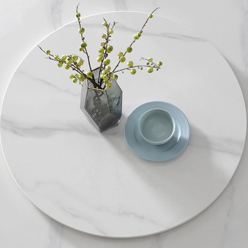 Metal Glam Style Round Dining Table Sintered Stone Top Table for Dining Room