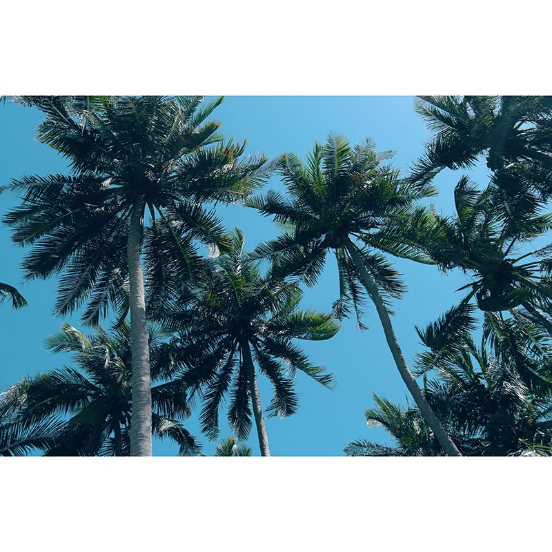 Mildew Resistant Mural Palm Tree Tropical Living Room Wall Mural