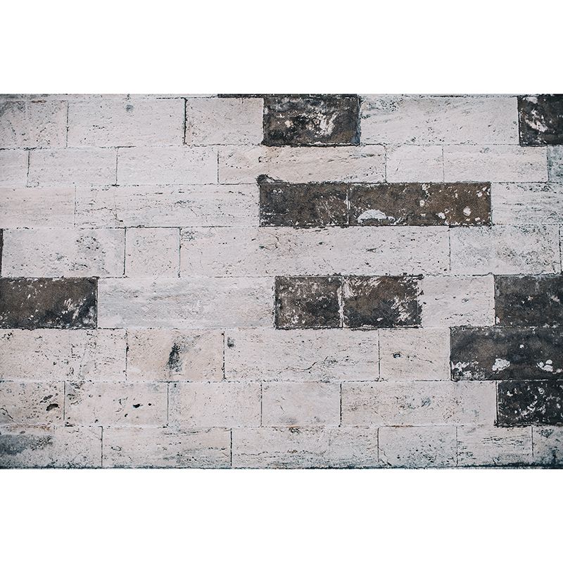 Environmental Photography Mural Wallpaper Brick Wall Indoor Wall Mural