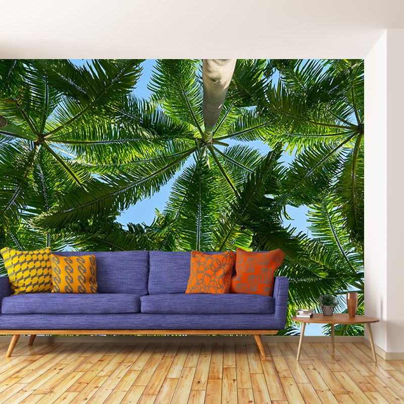 Tropical Trees Murals for Living Room, Water Resistant, Custom Size Available