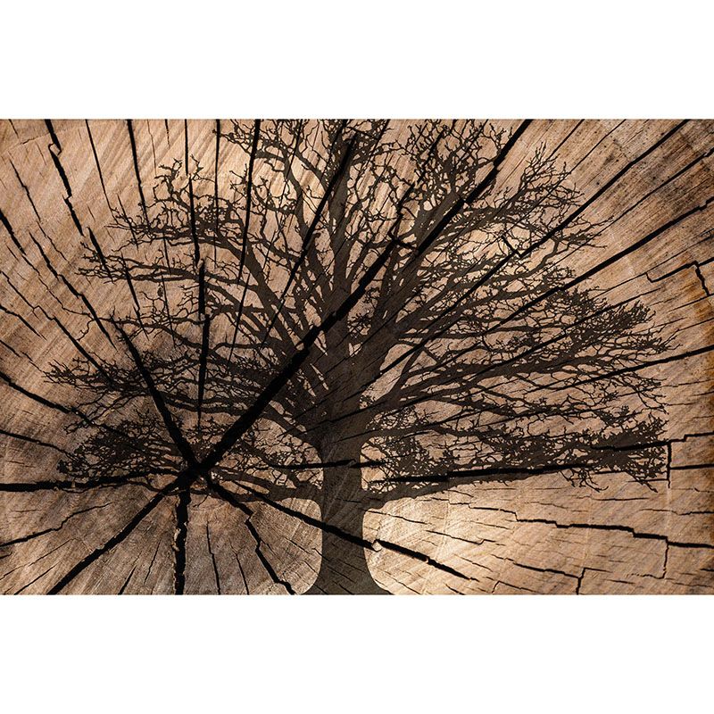 Photography Stain Resistant Wallpaper Wood Grain Living Room Wall Mural