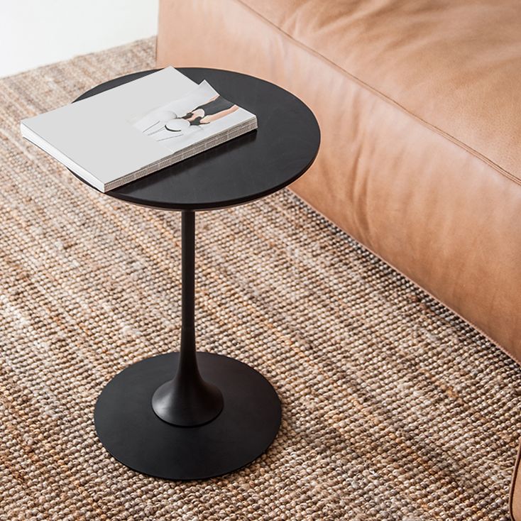 Scandinavian Round Solid Wood Top Side Table Metal Pedestal End Table