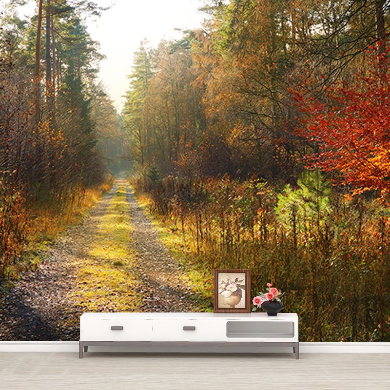 Customized Photography Space Extension Mural Eco-friendly for Home Decor