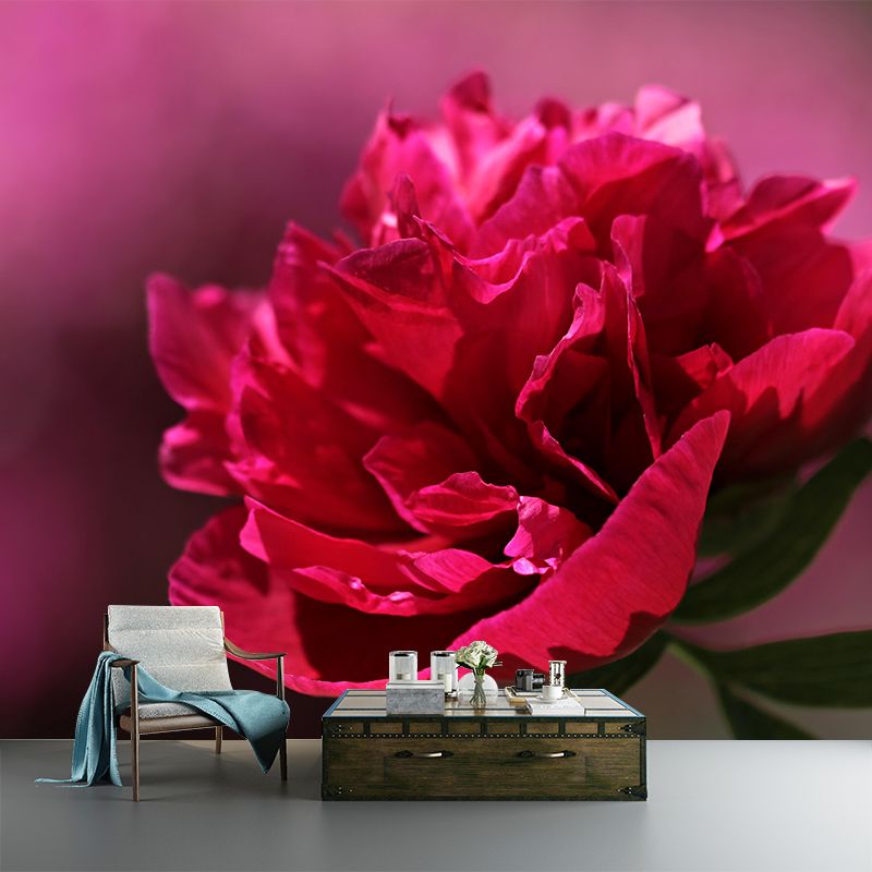 Full Size Photography Modern Mural Decal with Blossoming Peony for Living Room