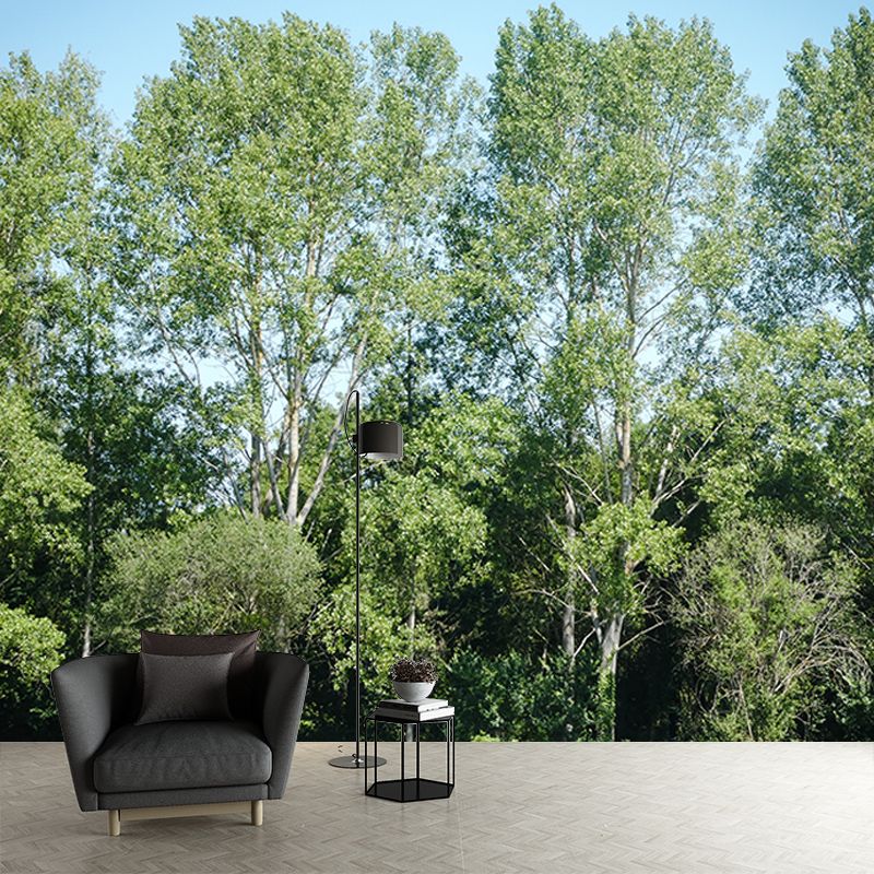 Green Forest View Wall Mural for Living Room Wall Decor, Made to Measure