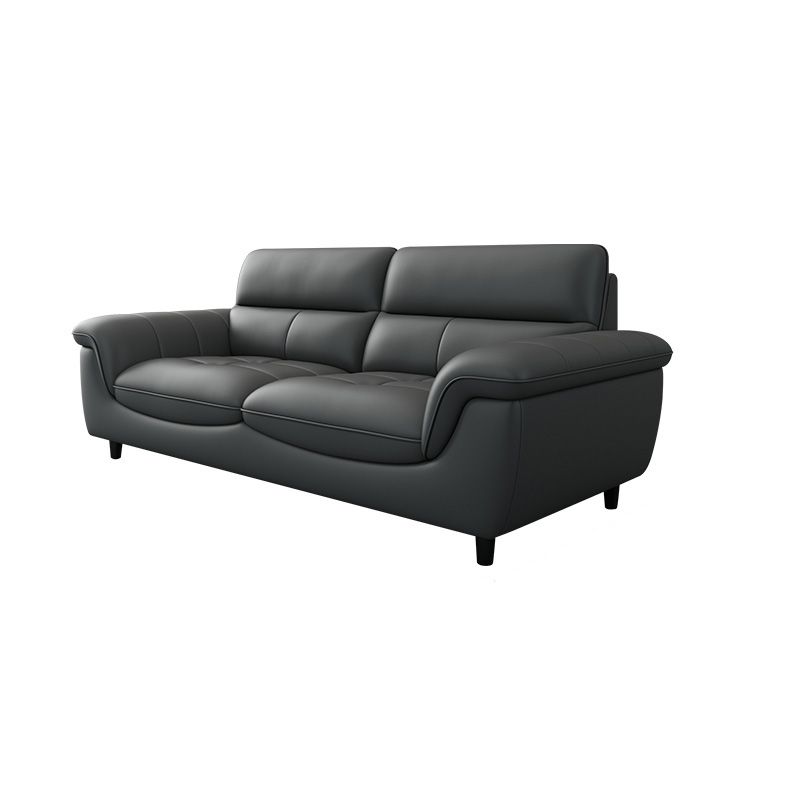 Genuine Leather Stain Resistant Contemporary Pillow Top Arm Sofa Couch
