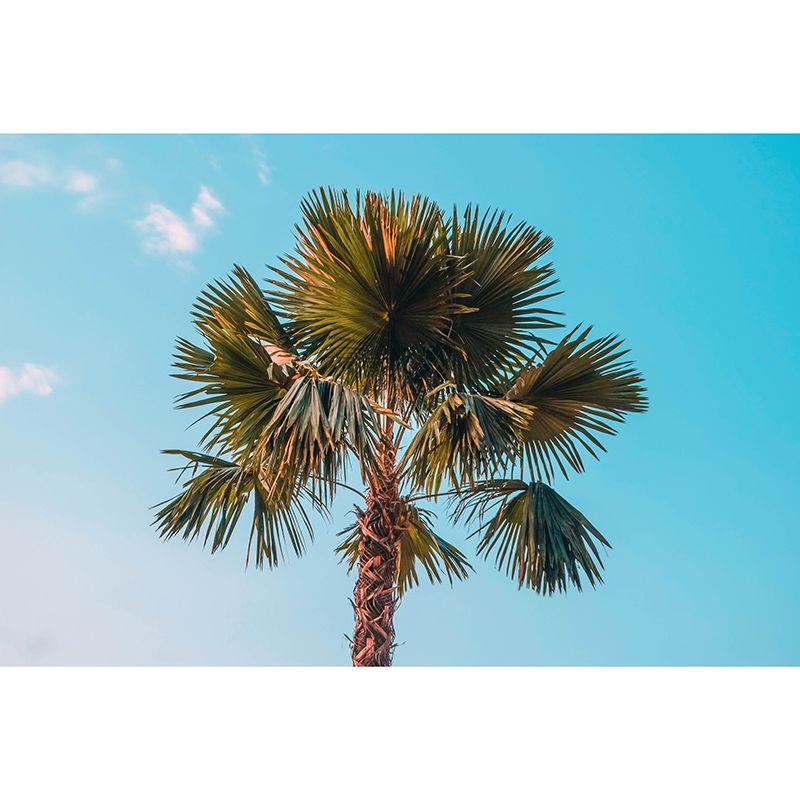 Wallpaper Photography Stain Resistant Tropical Landscape Living Room Wall Mural