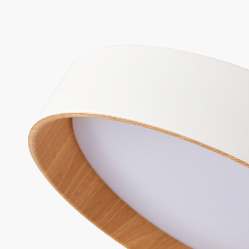 Round Flush Mount Light 1 Light Acrylic Modern Simplicity Flush Mount Spotlight for Bedroom