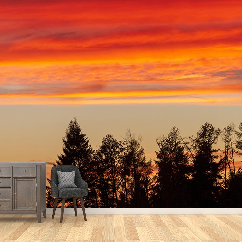 Mildew Resistant Mural Wallpaper Sky Landscapes Pattern for Wall Decor