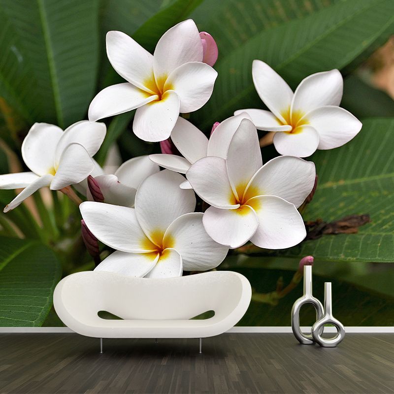 Customized Plumerias Flower Wall Mural Horizontal Photography for Sleeping Room
