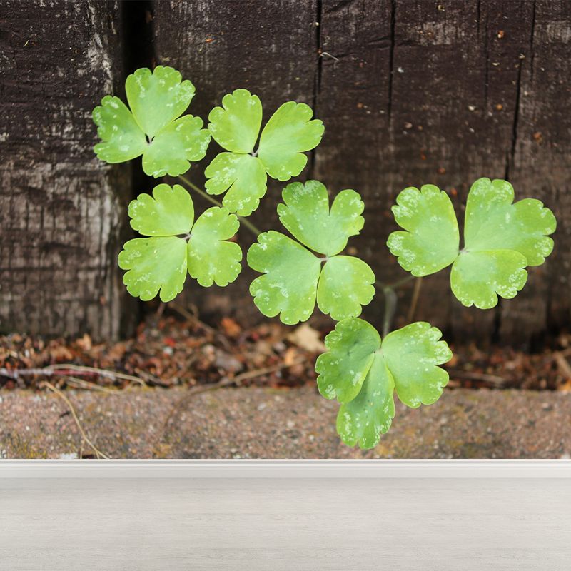 Contemporary Green Plant Wall Mural with Clover Pattern for Bar Decoration