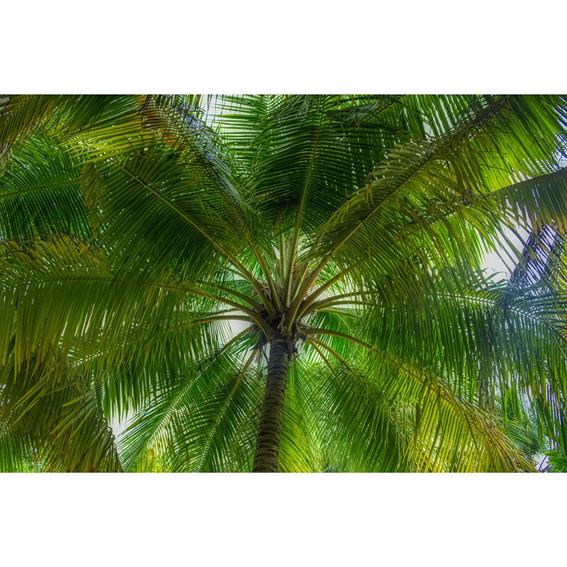 Vintage Wall Mural Tropical Plant Leaf Pattern Living Room Wall Mural