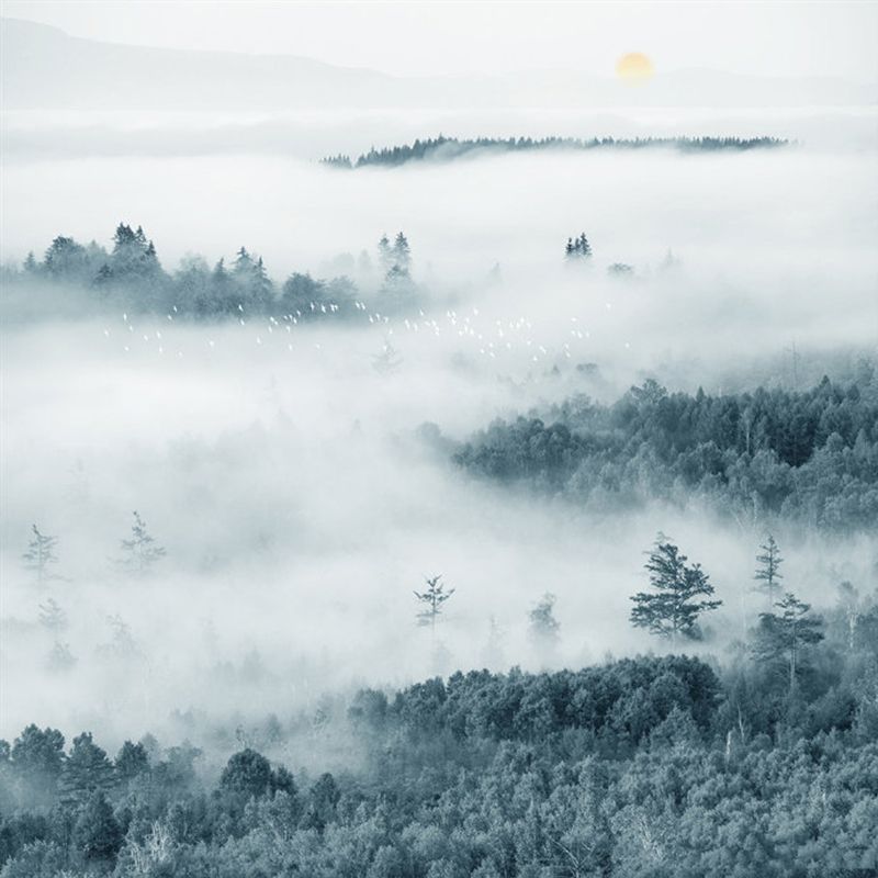 Misty Mountain Overlook Mural Wallpaper Grey and Green Contemporary Wall Decor for Bedroom