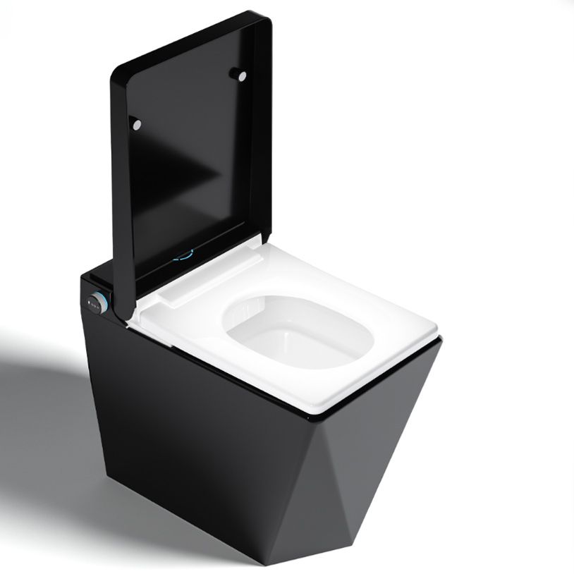 Heated Seat All-in-One Bidet Elongated Stain Resistant Bidet