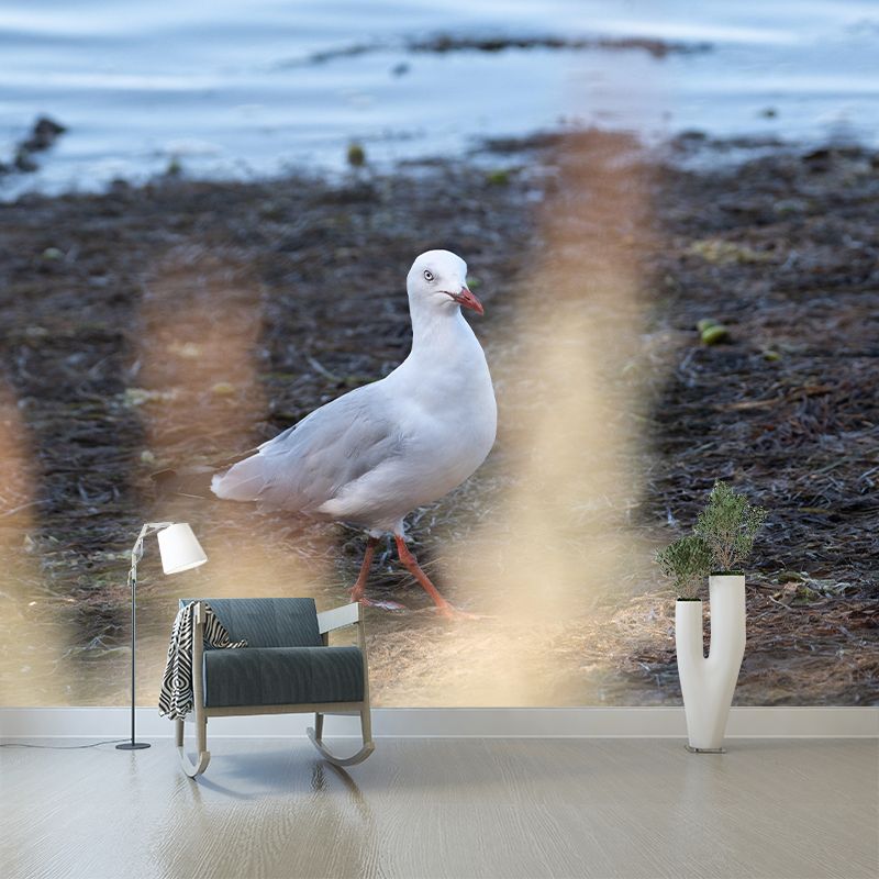 Photography Seagull Mural Wallpaper Environment Friendly for Living Room