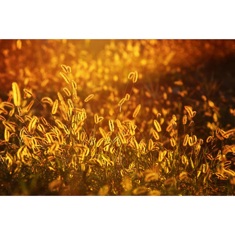 Foxtail Plant Mural Wallpaper Eco-friendly Moisture Resistant for Bedroom Decor